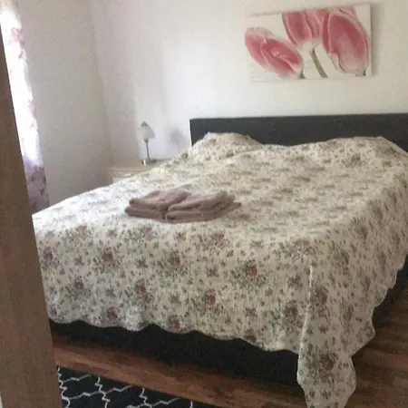 Sunnyside 잘라카로쉬