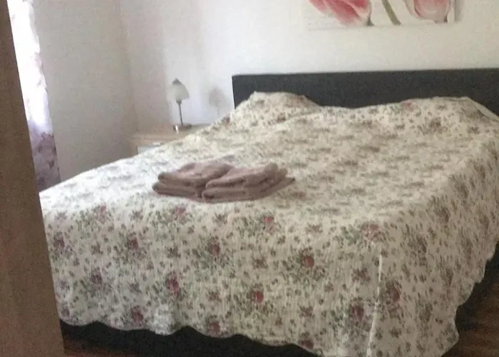 Sunnyside 잘라카로쉬